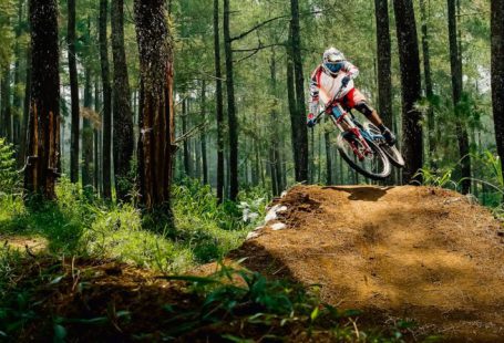 ROI Track - man riding bike doing stunt near green trees during daytime