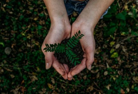 Eco-friendly - green plant