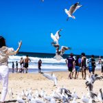 Unexpected Benefits - woman wearing white pants near white birds on seashore