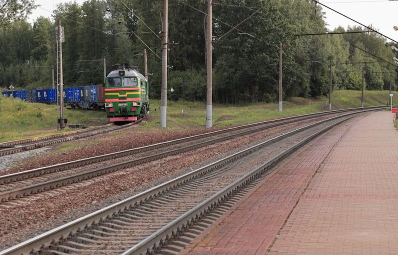 Crowdfunding Platform - a train traveling down train tracks next to a forest